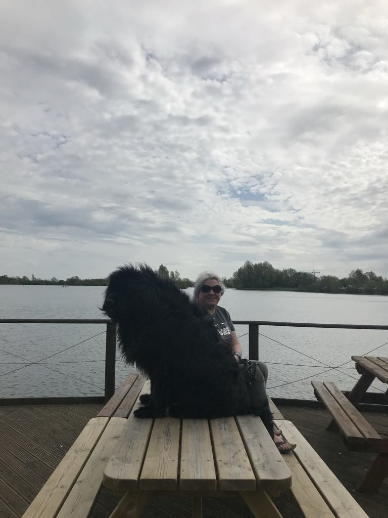 Moose + Me